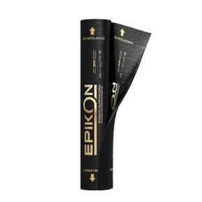 Epikon 20
